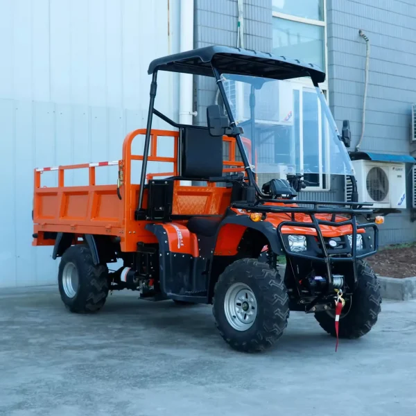 Quad Eléctrico MINICAR DL50DU-2wd-1.6 (Cargo)