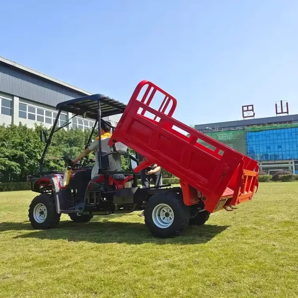 Quad Eléctrico MINICAR DL50DU-2wd-1.6 (Cargo)