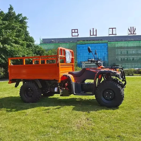 Quad Eléctrico MINICAR DL50DU-2wd-1.6 (Cargo)