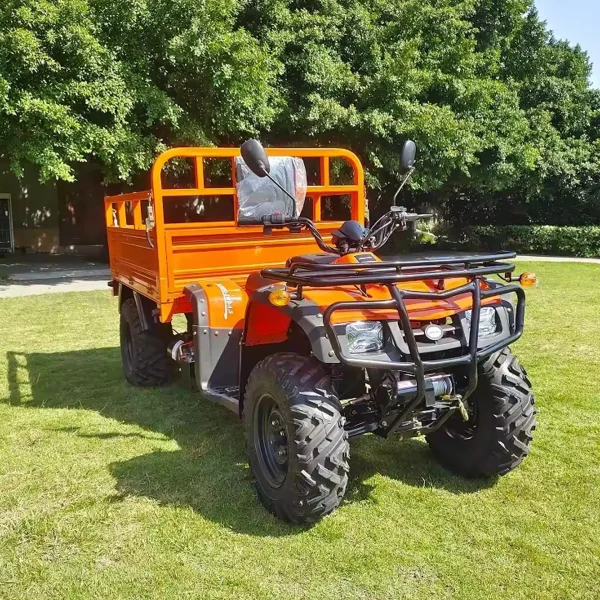 Quad Eléctrico MINICAR DL50DU-2wd-1.6 (Cargo)