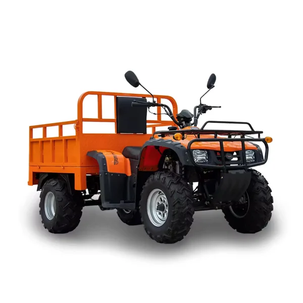 Quad Eléctrico MINICAR DL50DU-2wd-1.6 (Cargo)