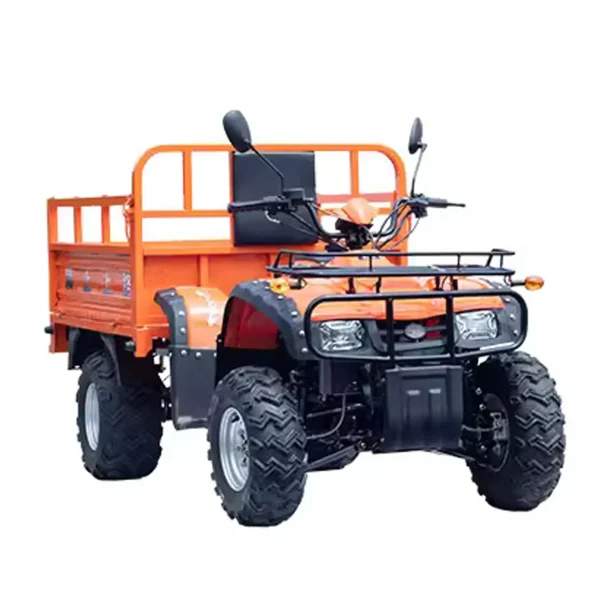 Quad Eléctrico MINICAR DL50DU-2wd-1.6 (Cargo)