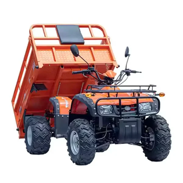 Quad Eléctrico MINICAR DL50DU-2wd-1.6 (Cargo)