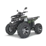 Quad Eléctrico E-QUAD 3000 4WD Dual Motor