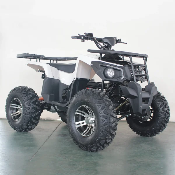 Quad Eléctrico E-QUAD 3000 4WD Dual Motor