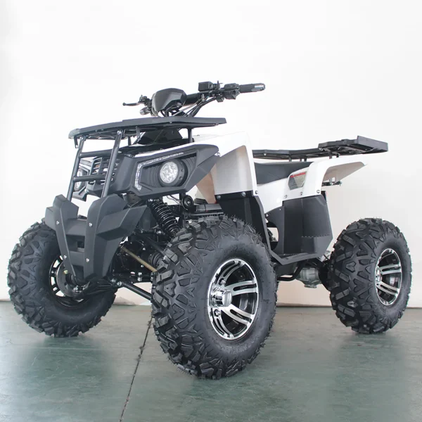 Quad Eléctrico E-QUAD 3000 4WD Dual Motor