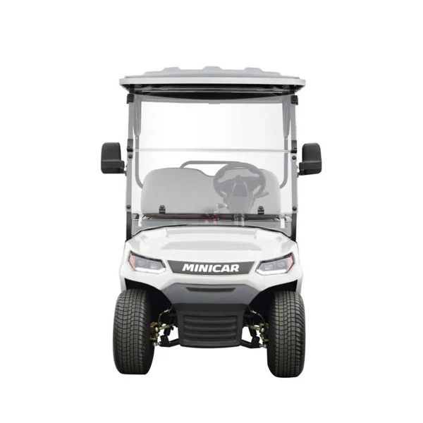 Golfcar EcoLiner H8
