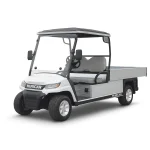 Golfcar EcoLiner H8