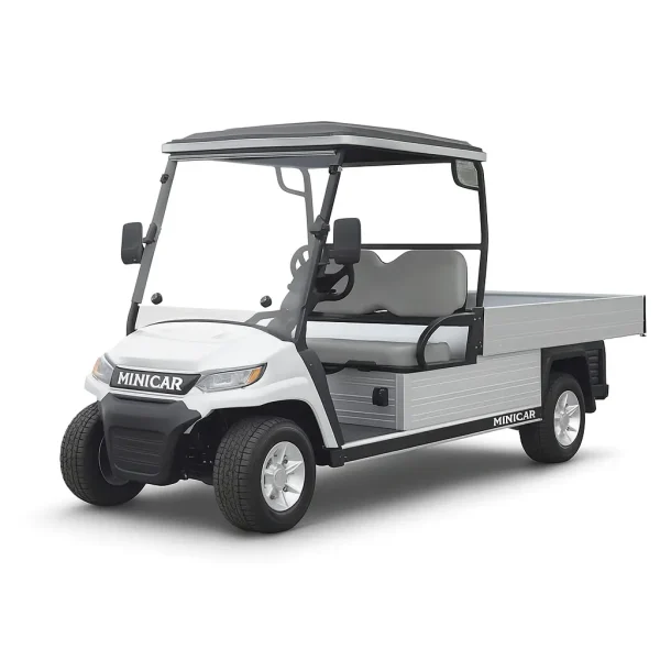 Golfcar EcoLiner H8