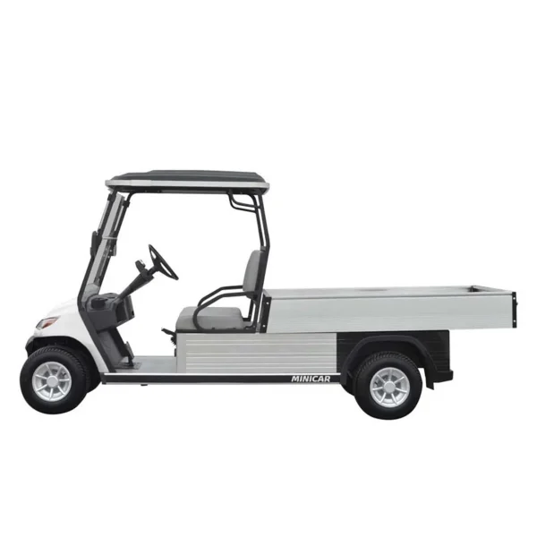 Golfcar EcoLiner H8
