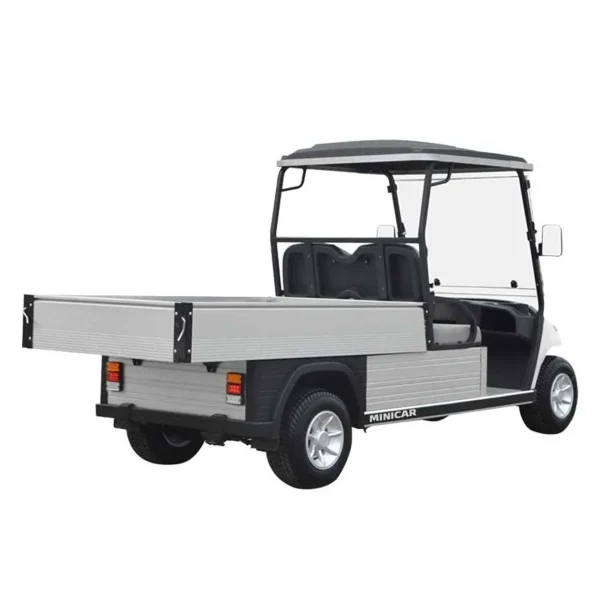 Golfcar EcoLiner H8
