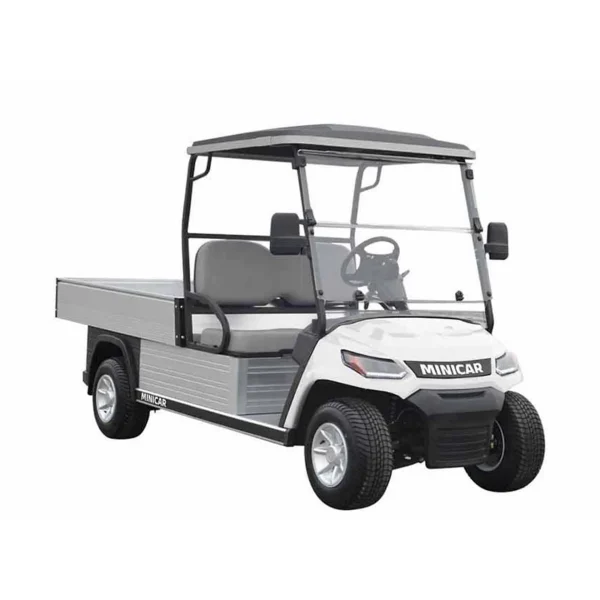 Golfcar EcoLiner H8