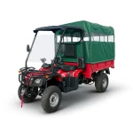 Quad Eléctrico Cargo MINICAR DL50DU-2wd-1.6L Li-ion