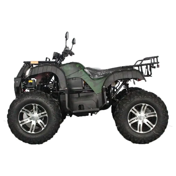 Quad Eléctrico Q-Force 3000 2WD