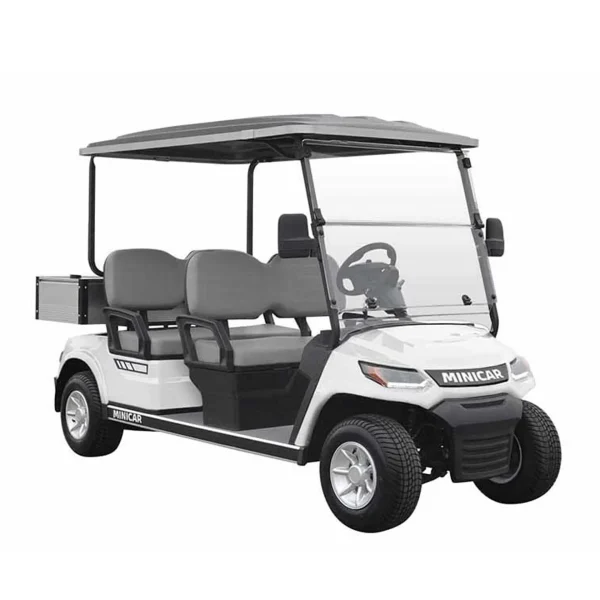 Golfcar Voyager 4S